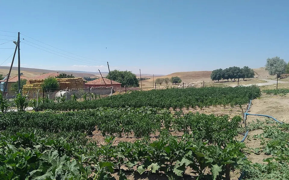 Ağaçören, Aksaray şehir görünümü