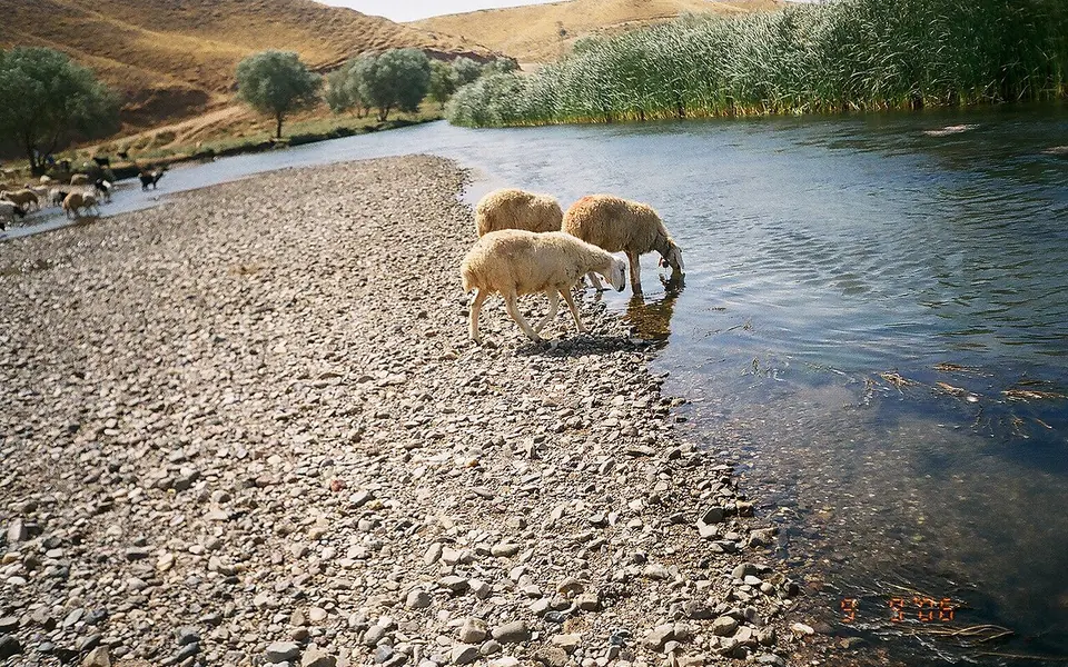 Bala, Ankara şehir görünümü