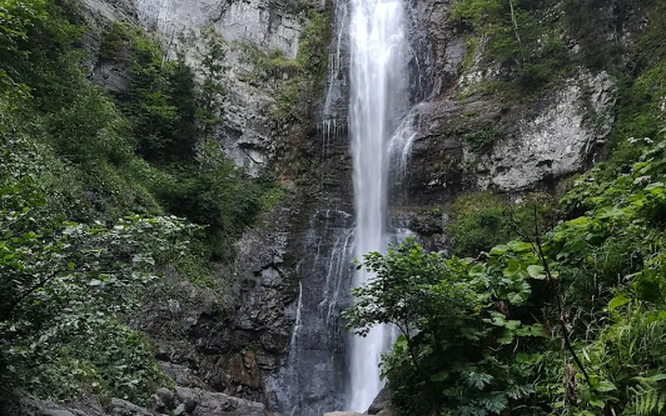 Borçka, Artvin şehir görünümü