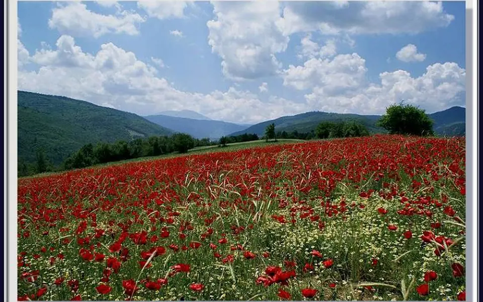 Ilgaz, Çankırı şehir görünümü