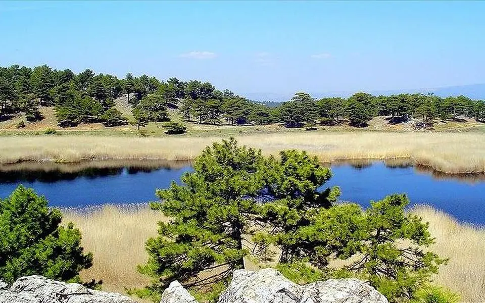 Bozkurt, Denizli şehir görünümü