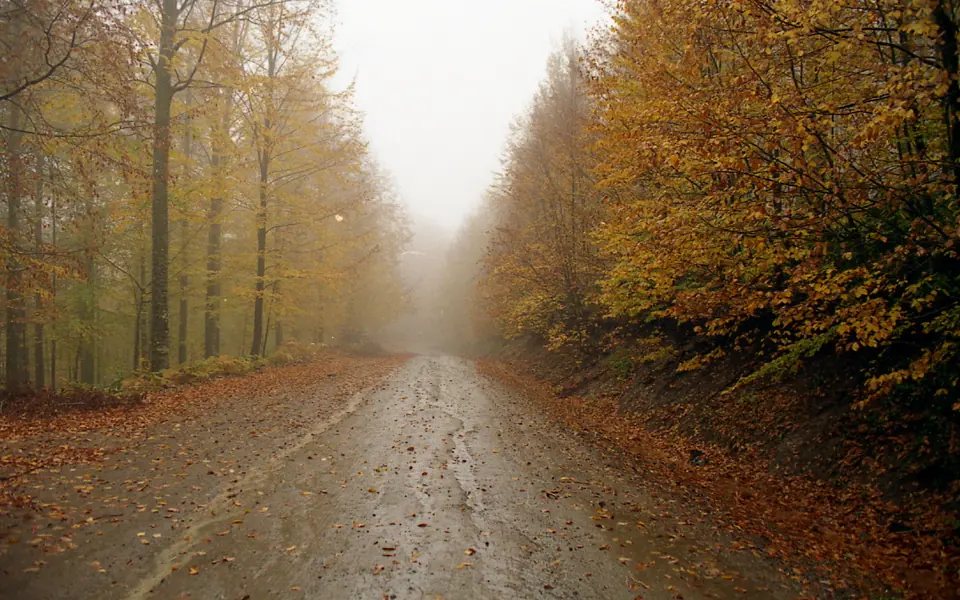 Gölyaka, Düzce şehir görünümü