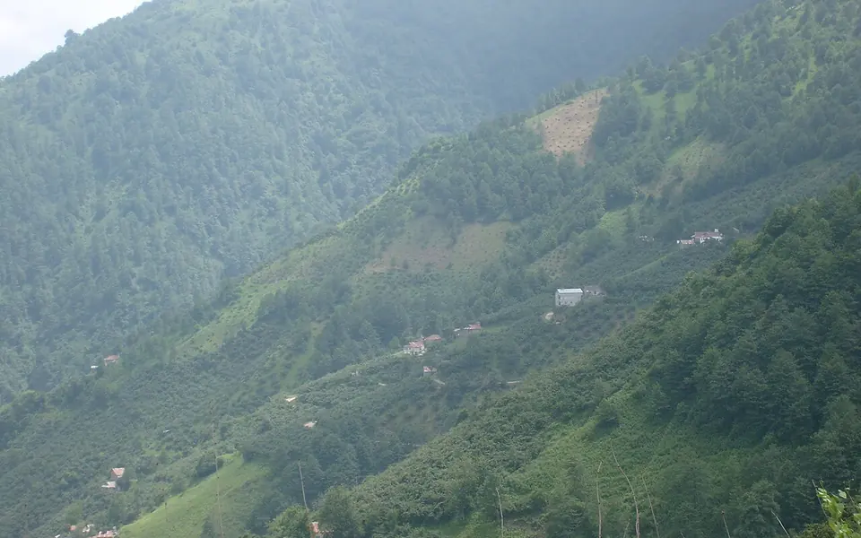 Doğankent, Giresun şehir görünümü