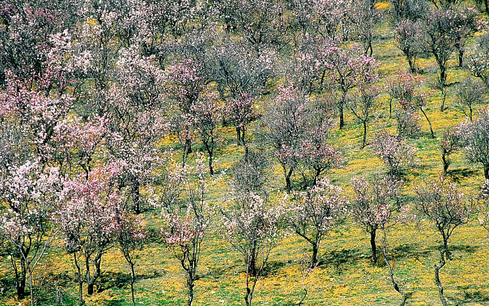 Yalvaç, Isparta şehir görünümü