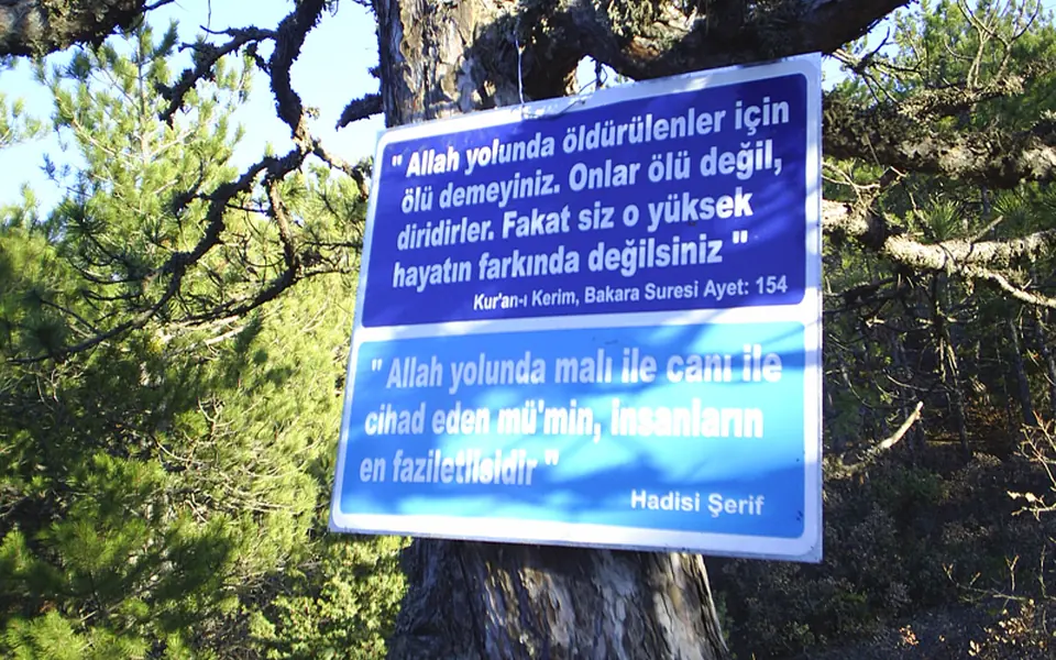 Domaniç, Kütahya şehir görünümü
