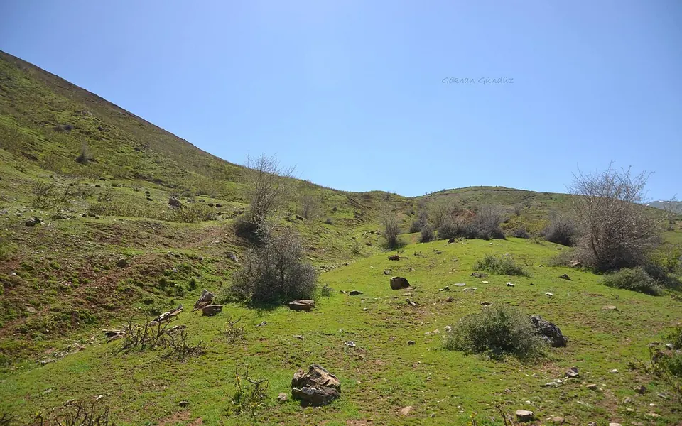 Korkut, Muş şehir görünümü