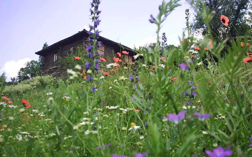 Akkuş, Ordu şehir görünümü
