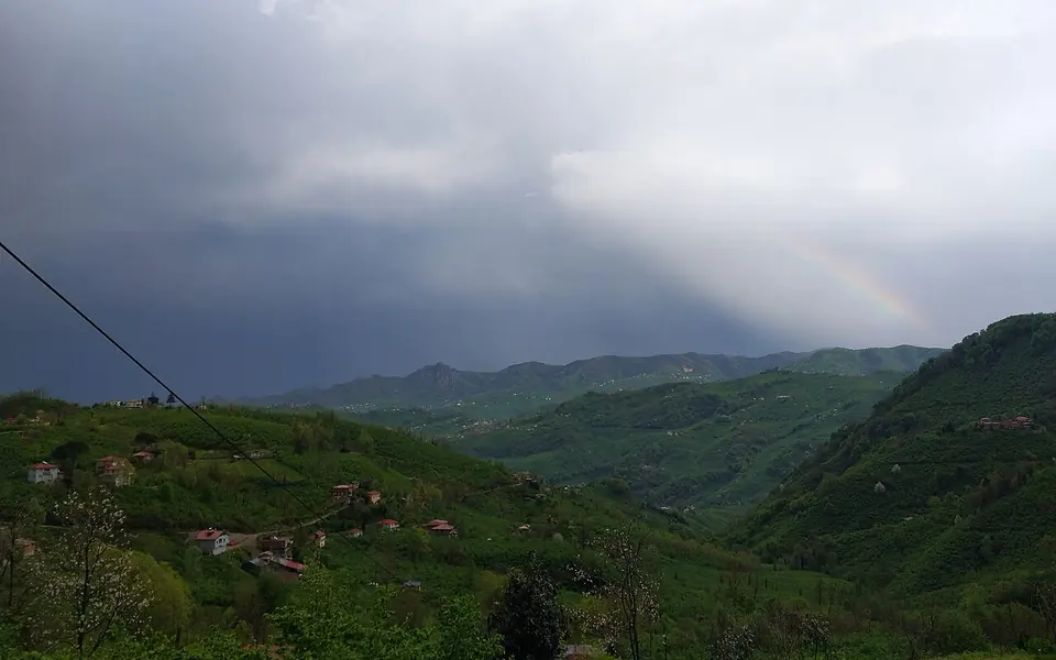 Altınordu, Ordu şehir görünümü