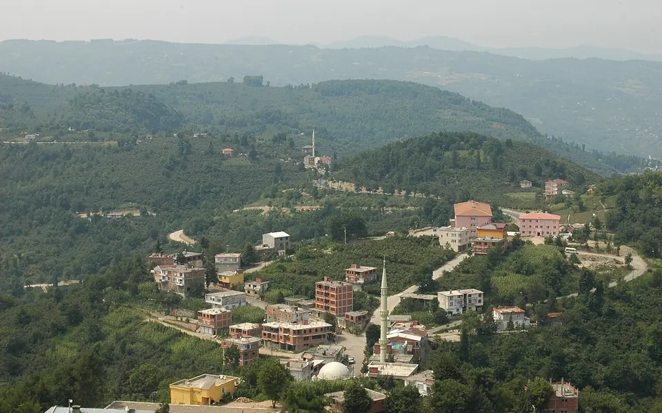 Çamaş, Ordu şehir görünümü