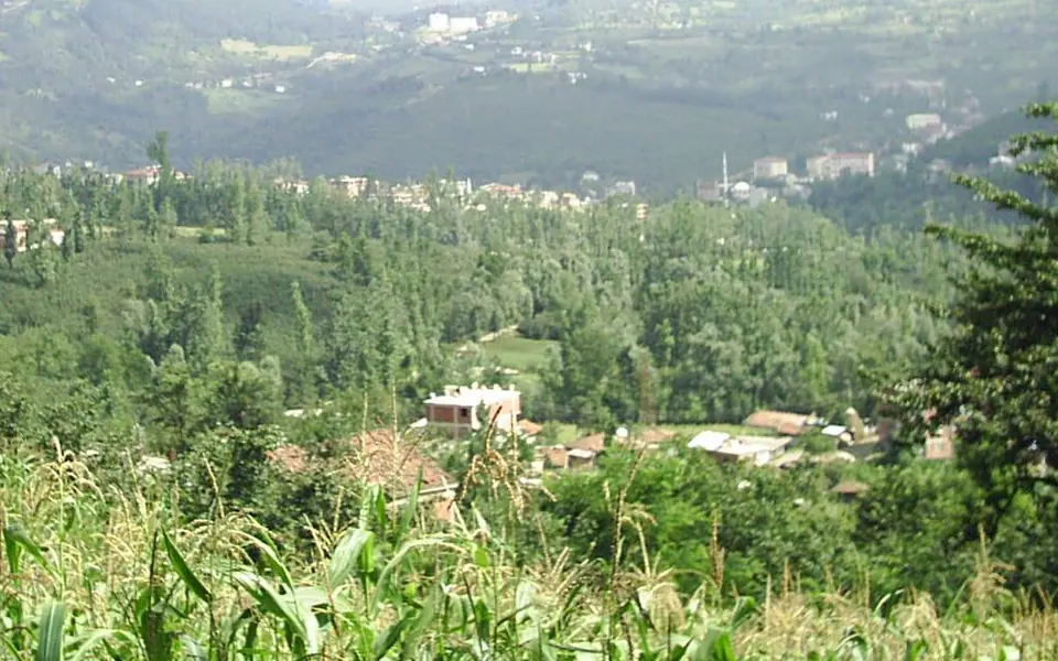 Gölköy, Ordu şehir görünümü