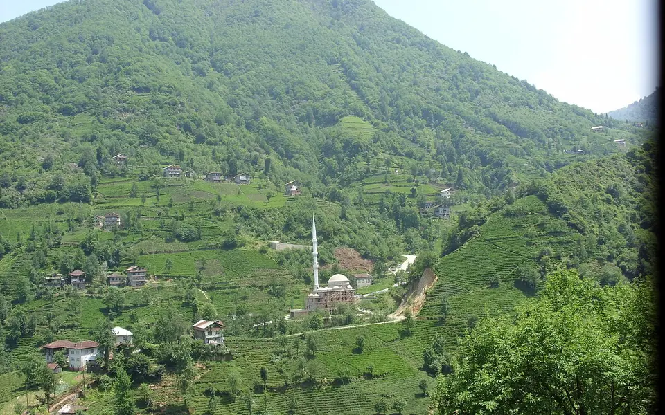 Güneysu, Rize şehir görünümü