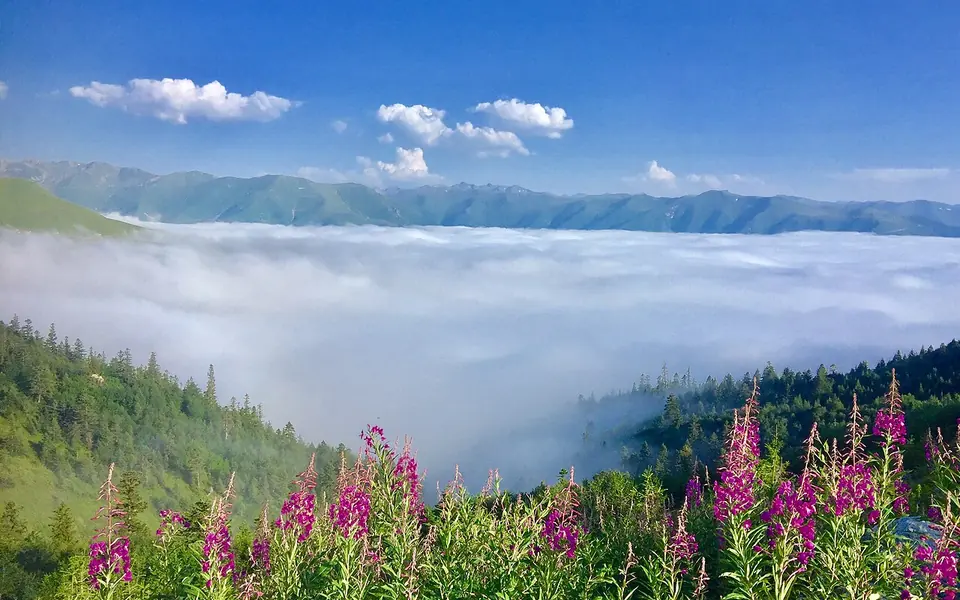 İkizdere, Rize şehir görünümü