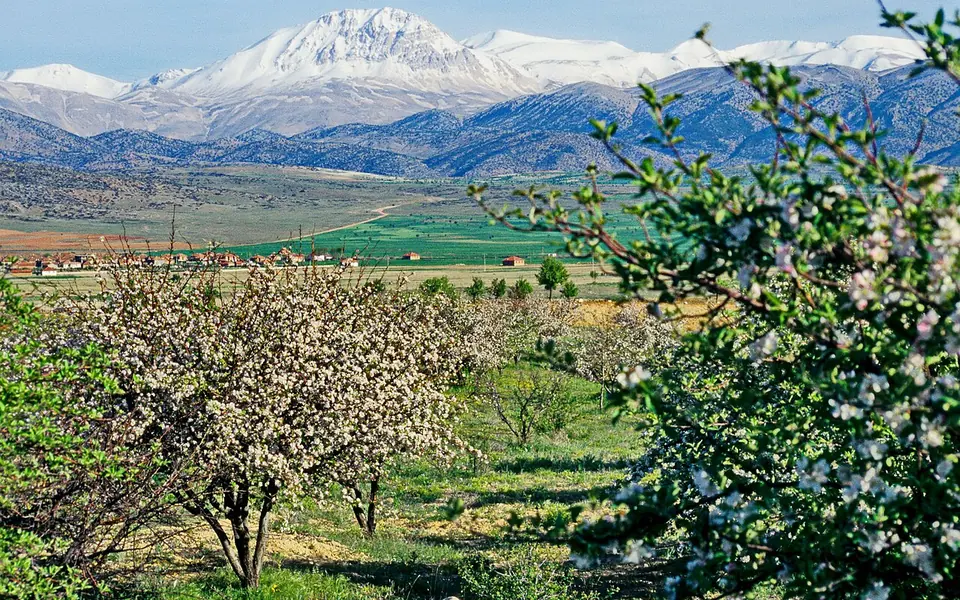 Gölova, Sivas şehir görünümü