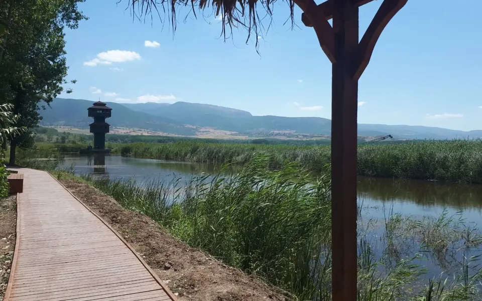 Pazar, Tokat şehir görünümü