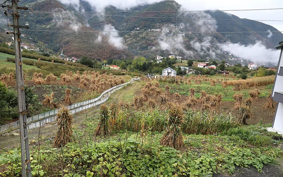 Düzköy, Trabzon şehir görünümü