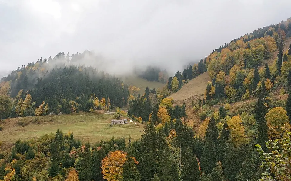Maçka, Trabzon şehir görünümü