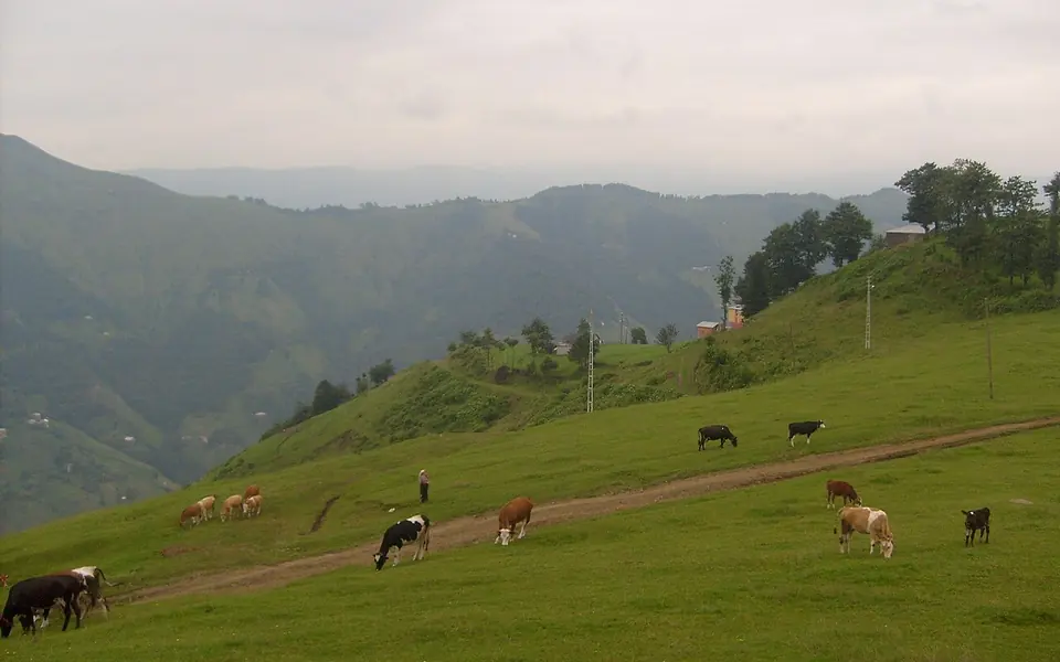 Şalpazarı, Trabzon şehir görünümü