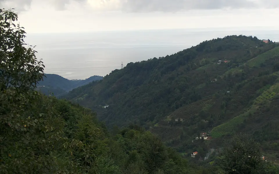 Vakfıkebir, Trabzon şehir görünümü